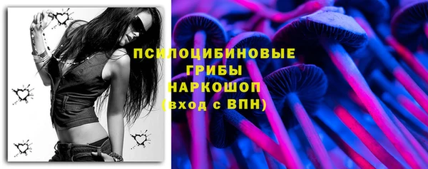 шишки Арсеньев