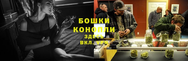 спайс Аркадак