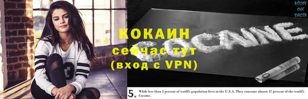 шишки Арсеньев