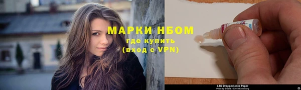 шишки Арсеньев