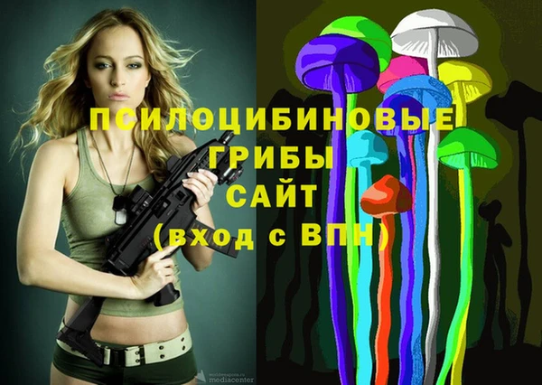 спайс Аркадак