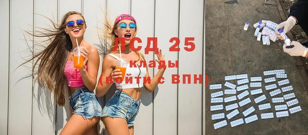 шишки Арсеньев